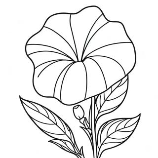 Morning Glory Flower Coloring Page | Morning Glory 塗色頁