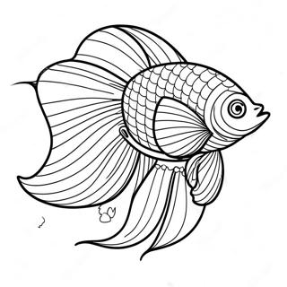 Betta Fish Coloring Page | Betta Fish 塗色頁