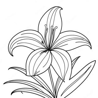Lily Flower Coloring Page | Lily Flower 塗色頁