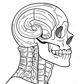 Anatomy Coloring Page