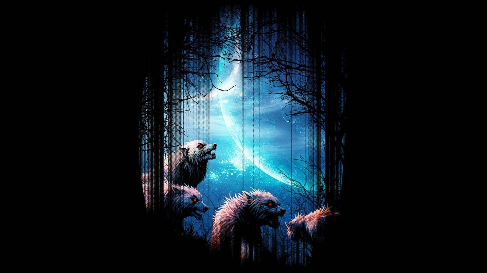 Full HD 1080p Wolf Wallpapers HD Desktop Backgrounds