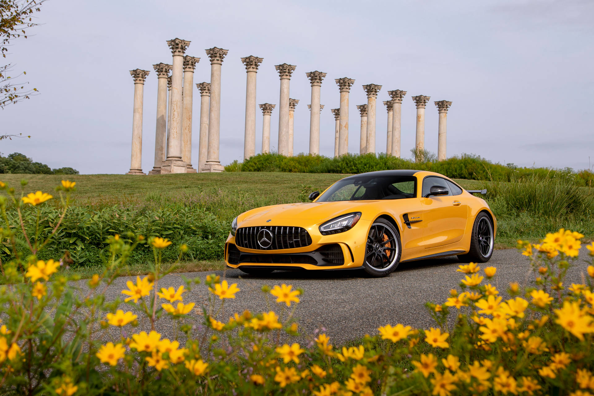 Vehicles Mercedes-AMG GT R Mercedes-Benz Car Yellow Car Supercar Coupé HD Wallpaper | Background Image