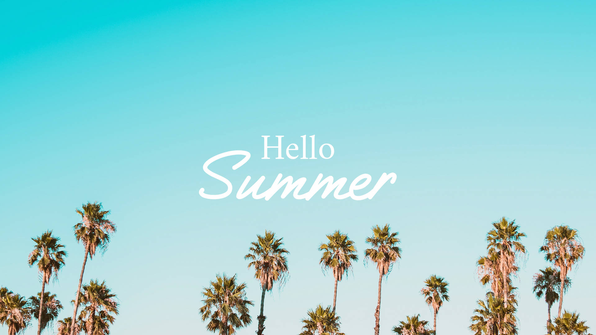 2560x1440 Summer 桌布