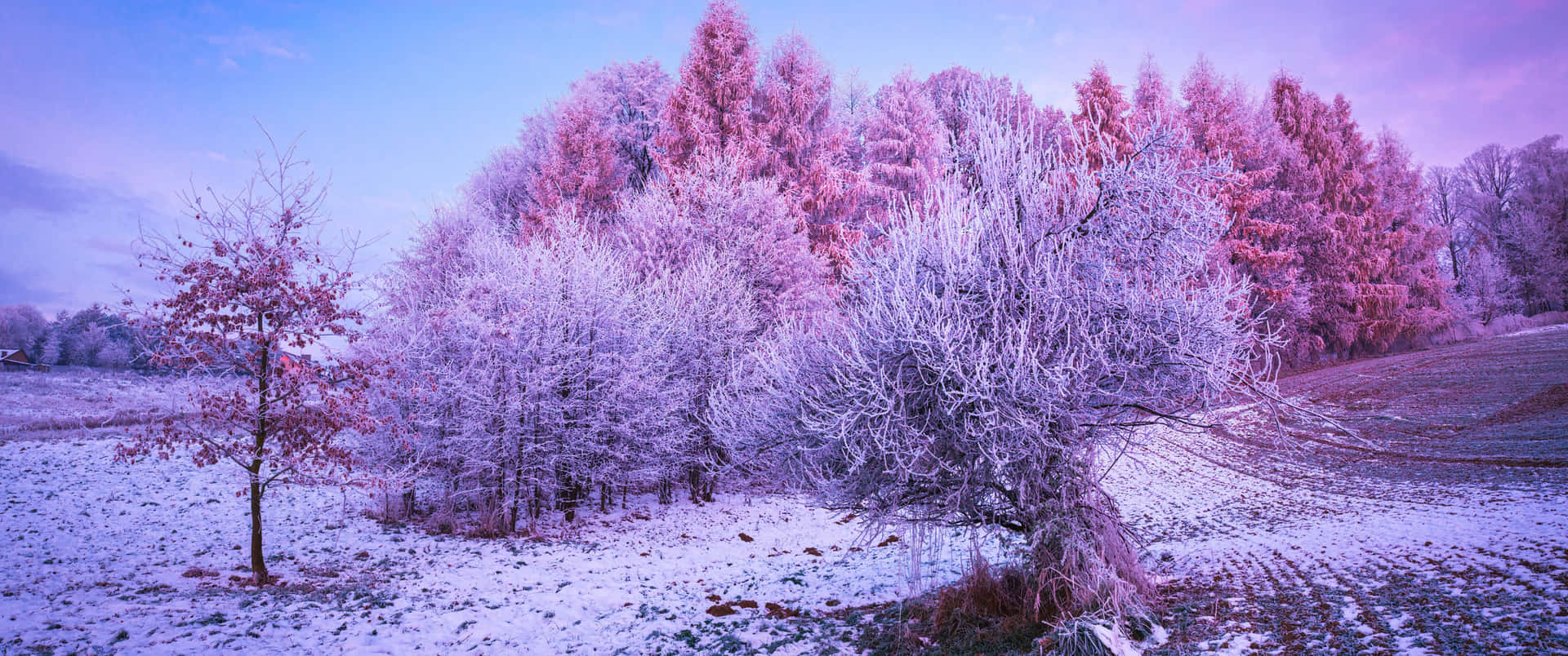 3440x1440 Winter 桌布