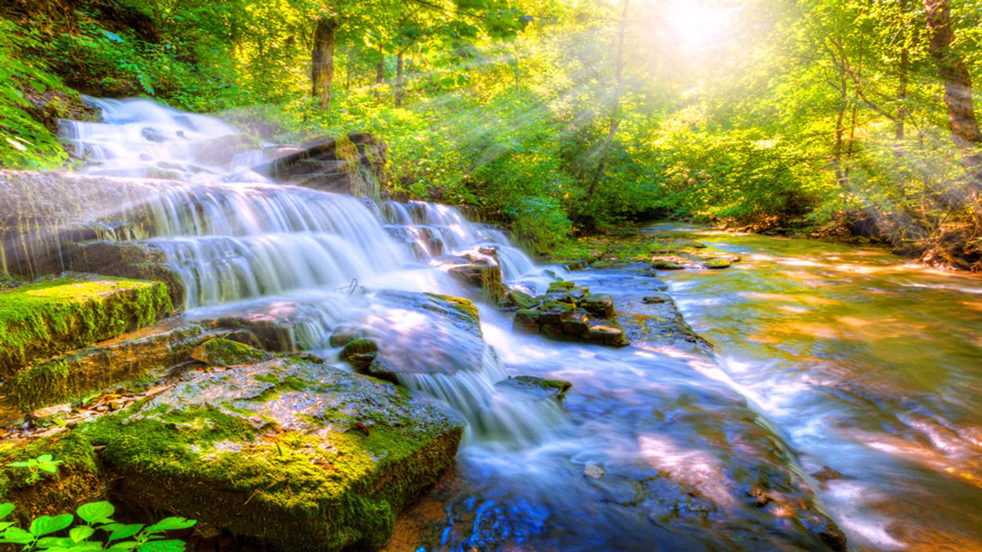 3840 X 2160 Nature 桌布