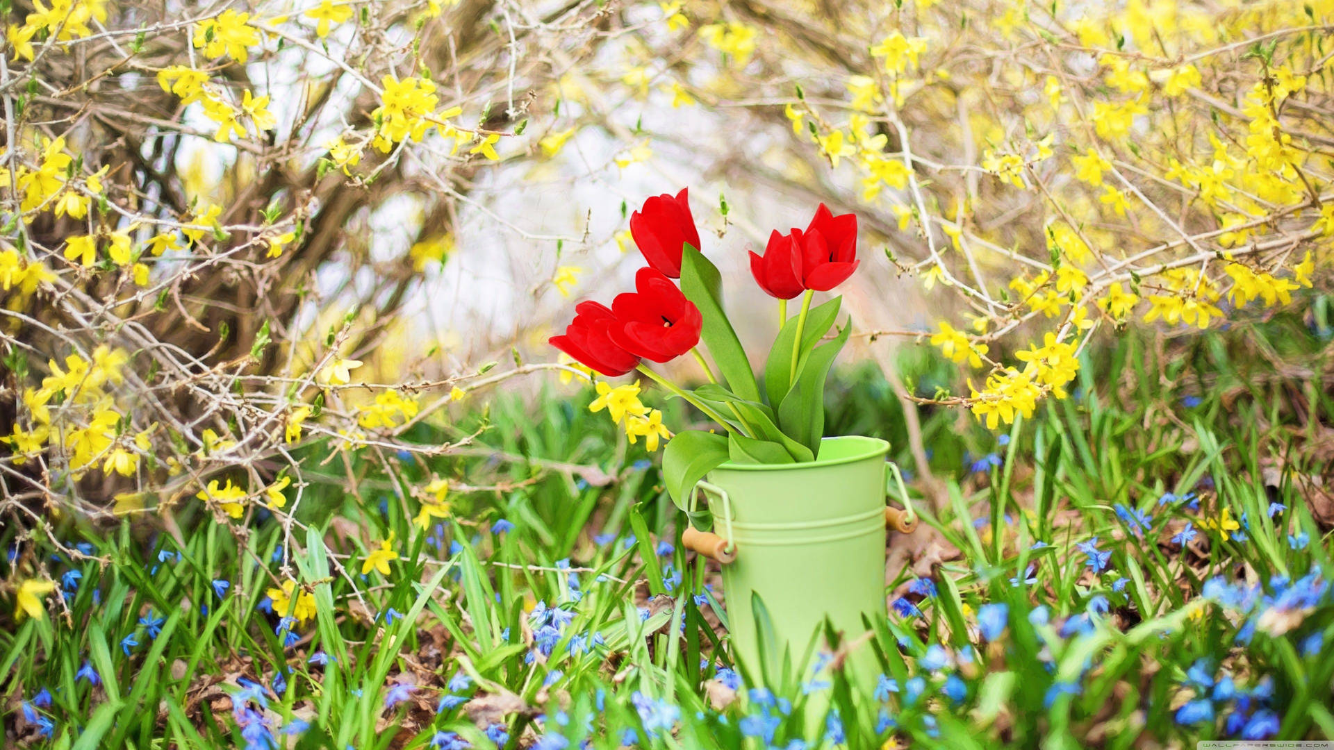 4K Spring 桌布