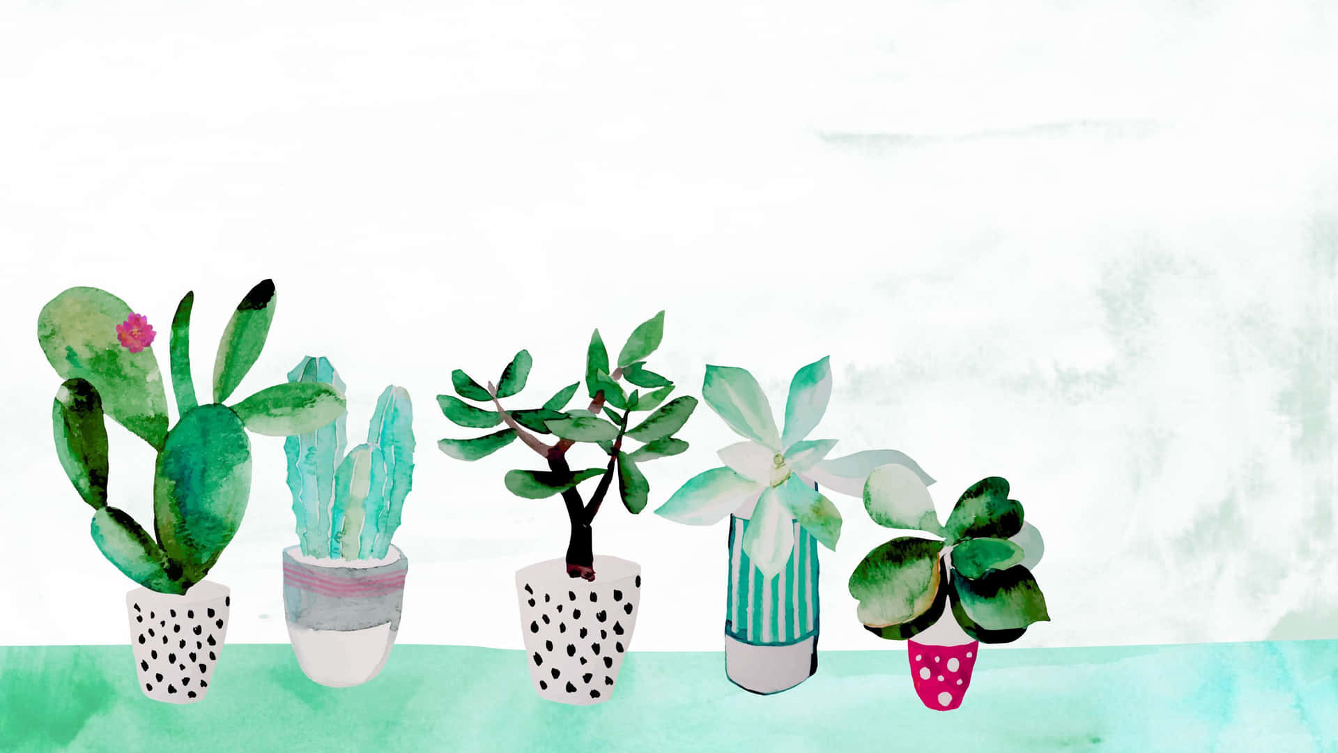 Aesthetic Cactus 桌布