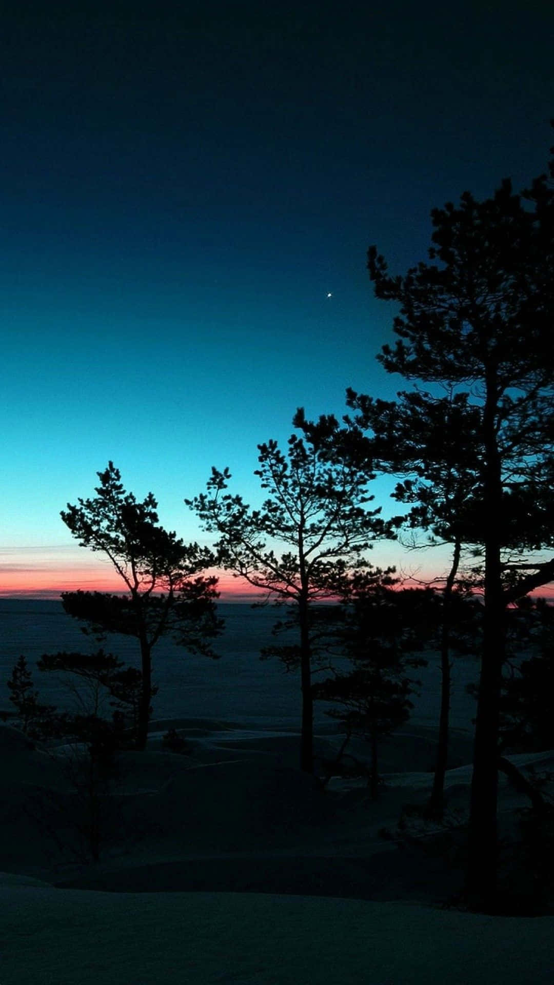 Aesthetic Nature Tumblr 桌布
