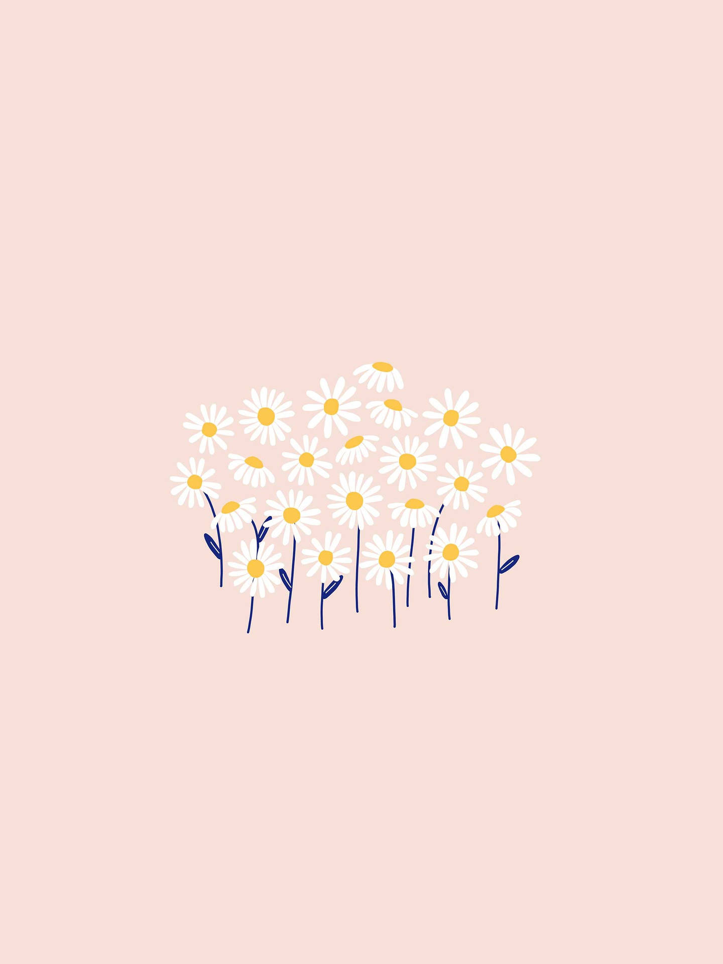 Daisy desktop, tablet and phone wallpapers