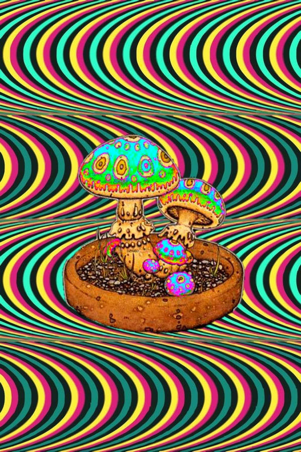 Aesthetic Trippy 桌布