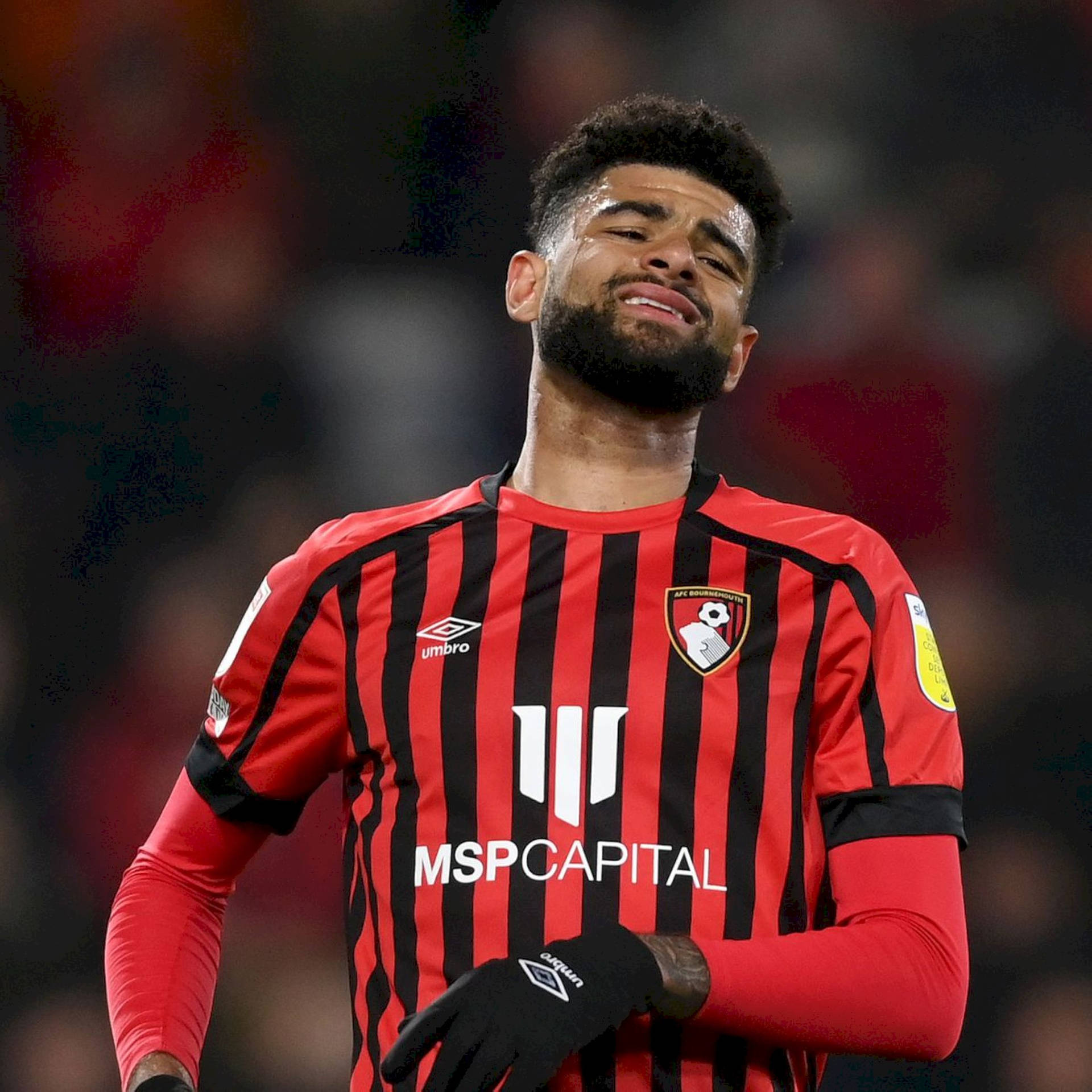 Afc Bournemouth 桌布