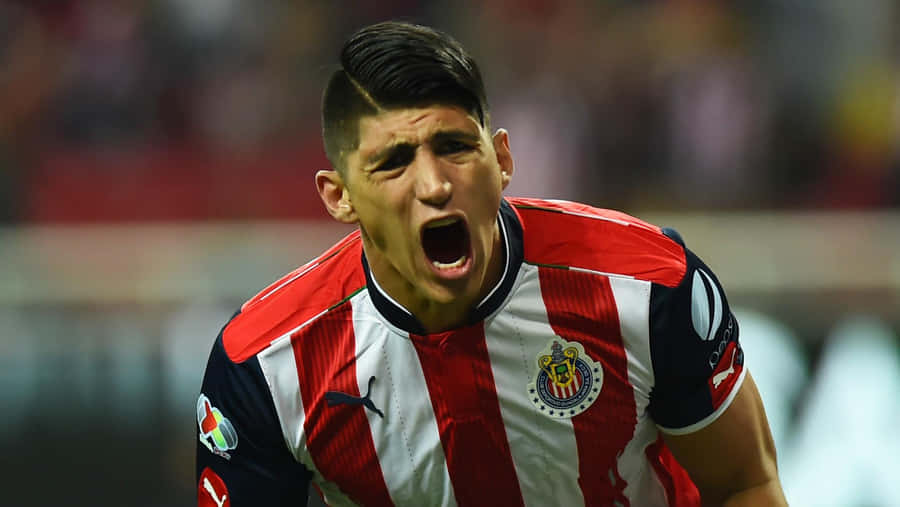 Alan Pulido 桌布