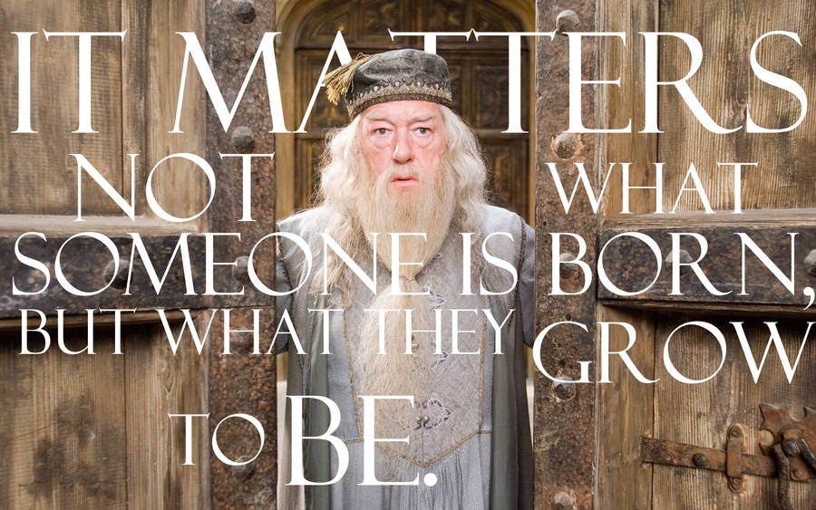 Movie Harry Potter and the Order of the Phoenix HD Wallpaper | Background Image
