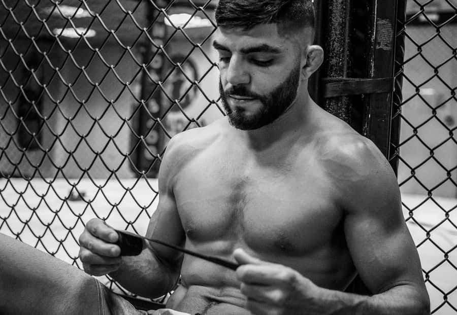 Amir Albazi 桌布