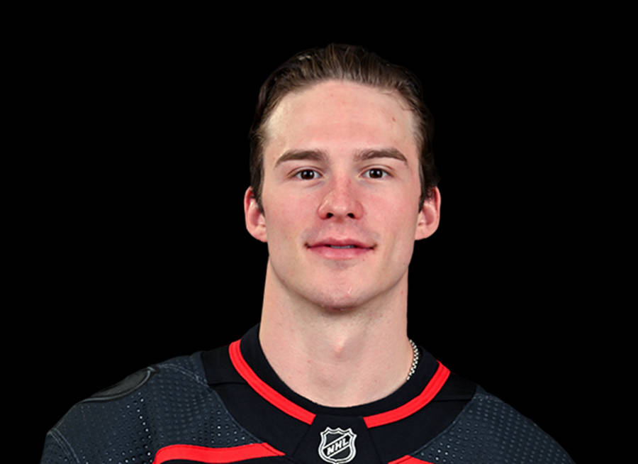 Andrei Svechnikov 桌布