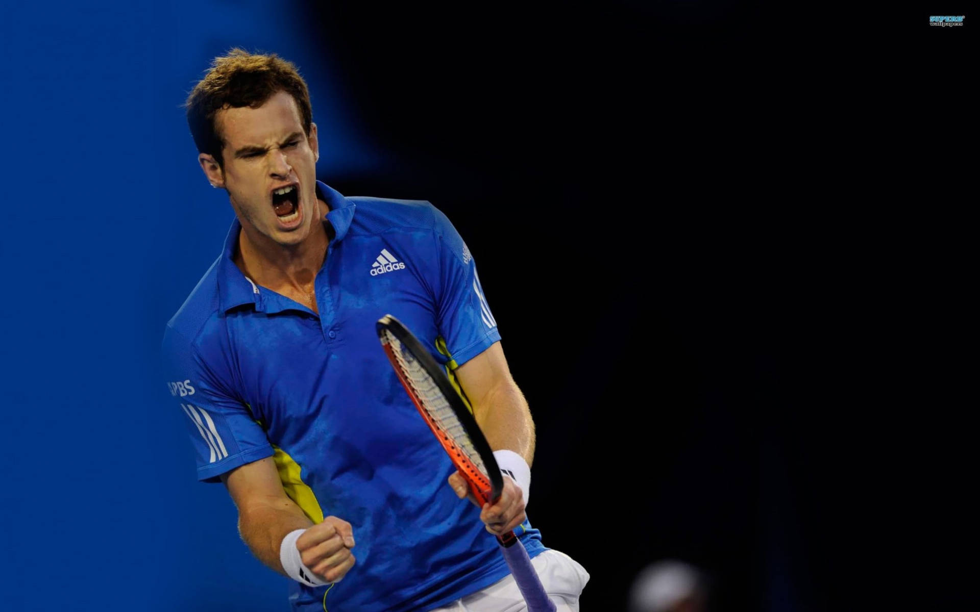 Andy Murray 桌布