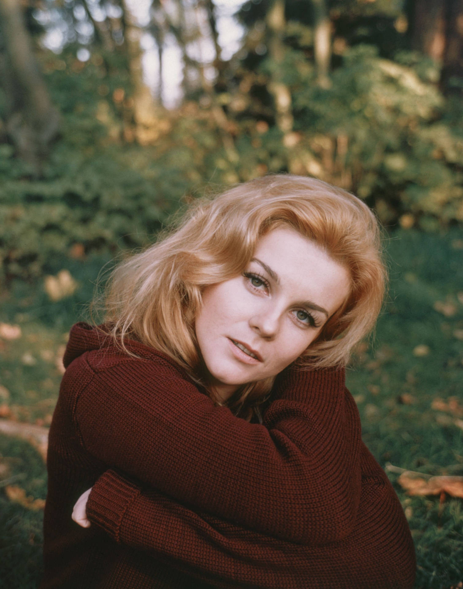 Ann Margret 桌布