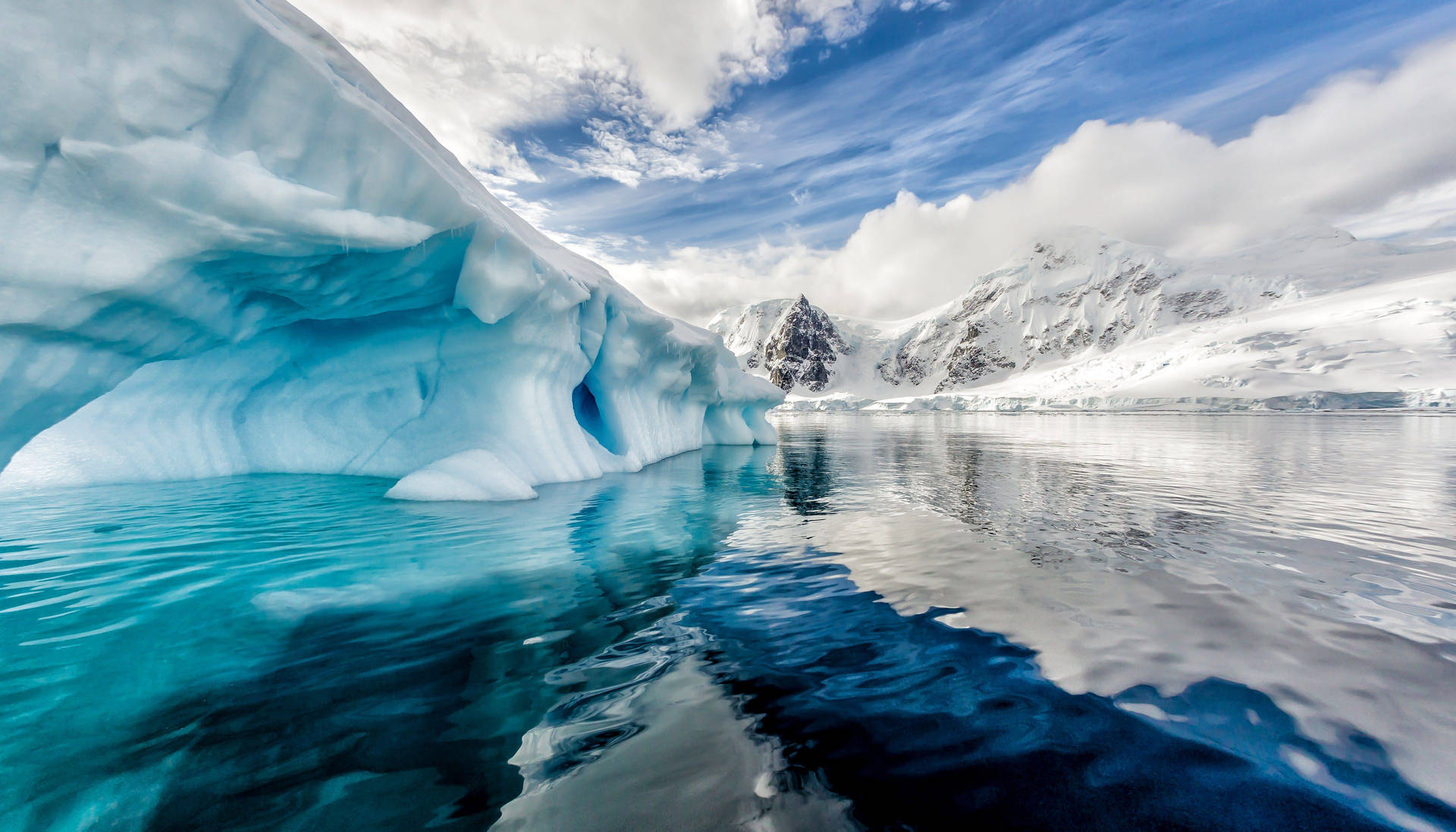 Antarctica 桌布