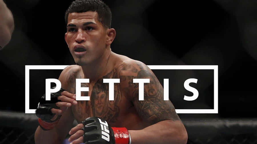 Anthony Pettis 桌布