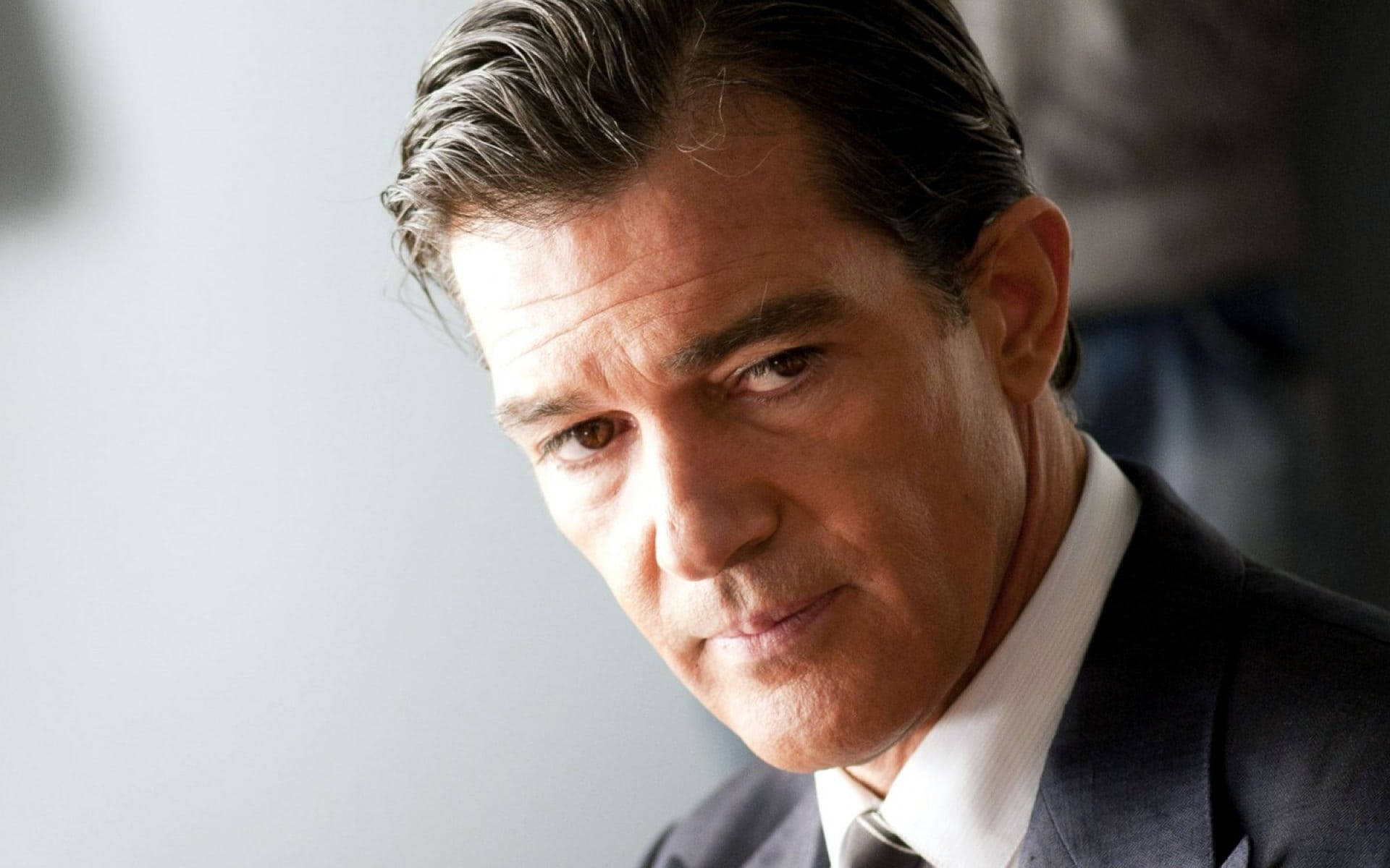 Antonio banderas 桌布
