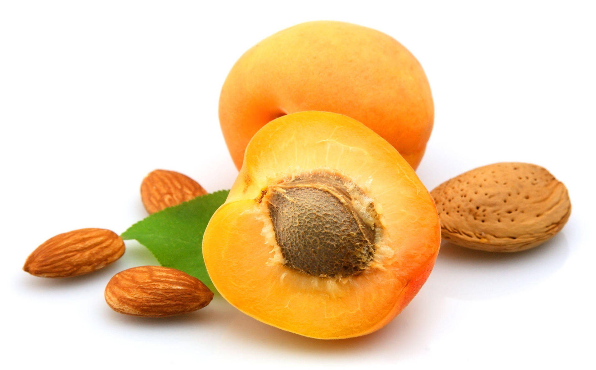 Apricot 桌布