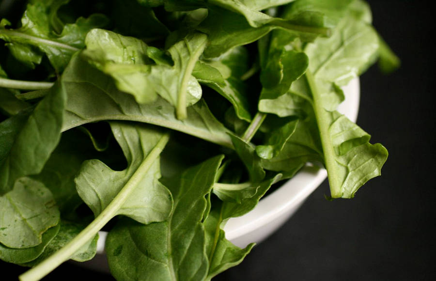 Arugula 桌布