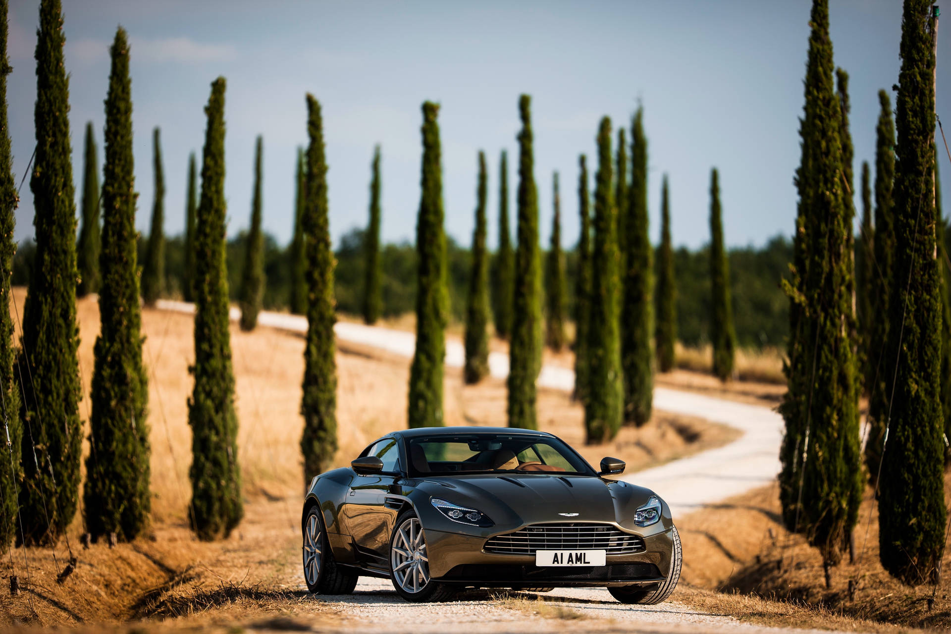 Preview wallpaper aston martin, db1, front view