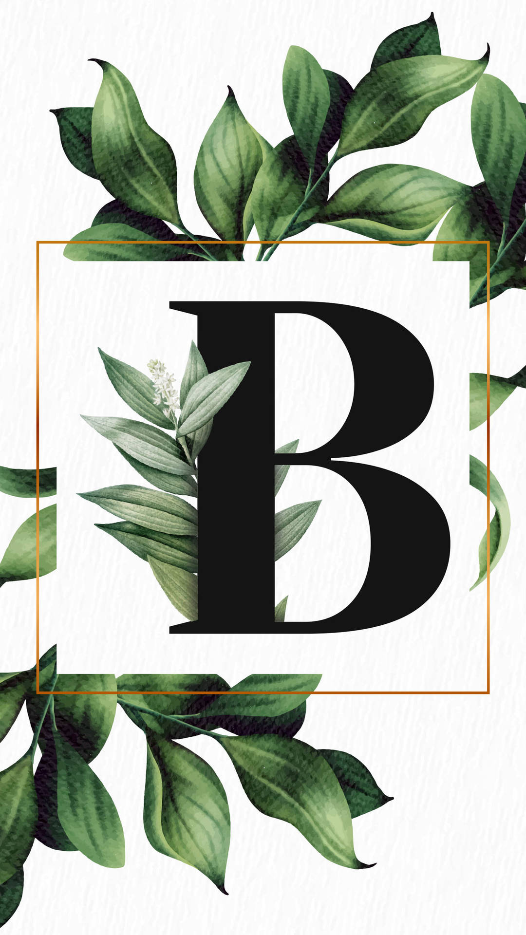 B 桌布