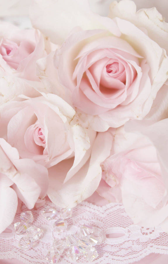 Baby Pink 桌布