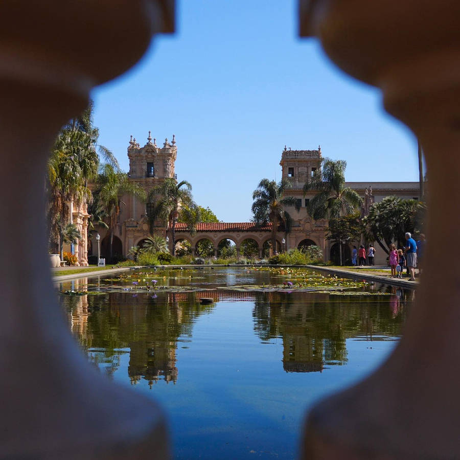 Balboa Park 桌布
