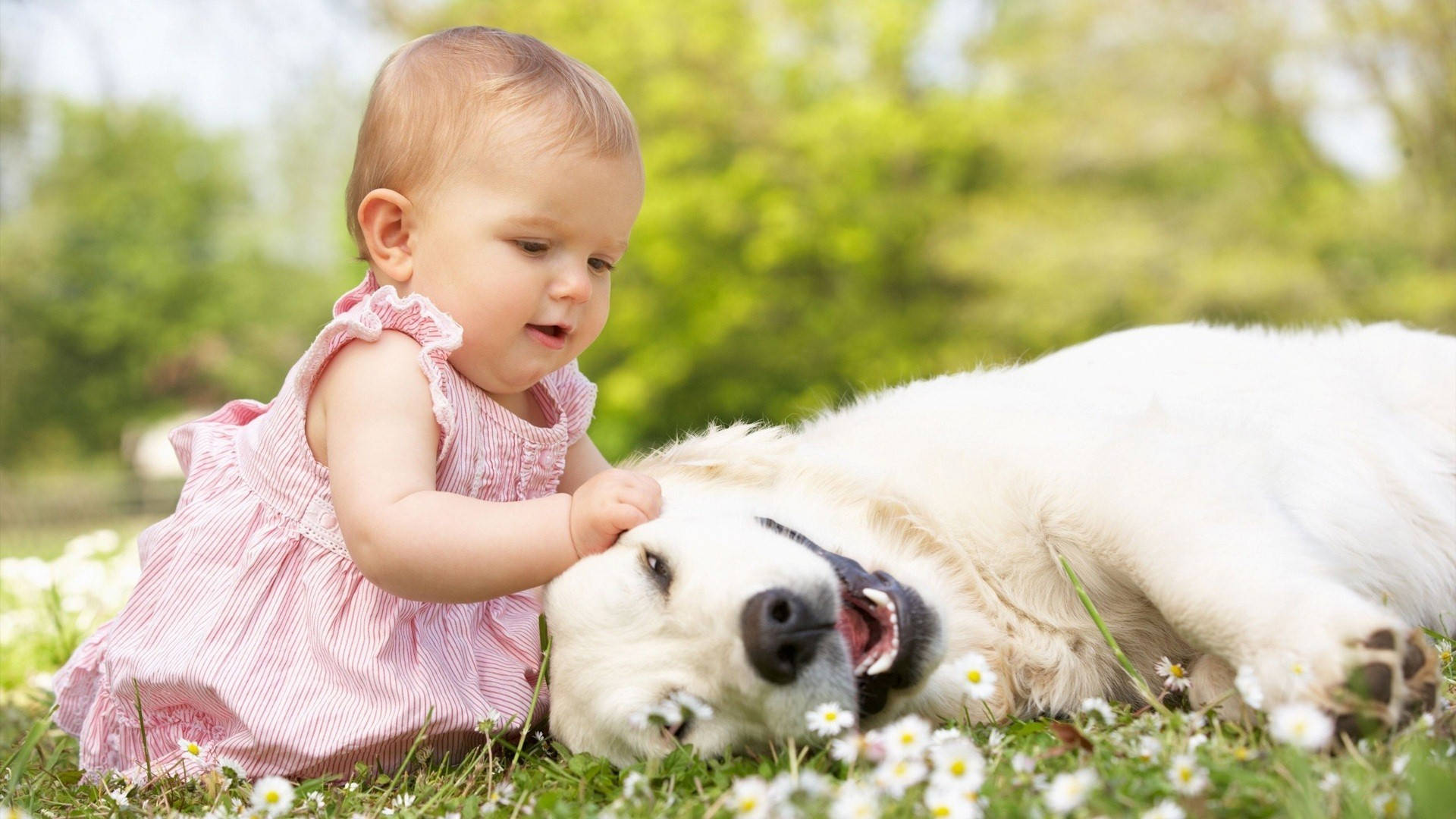 Cute Baby Girl Wallpapers | Free Download HD Beautiful Desktop Images