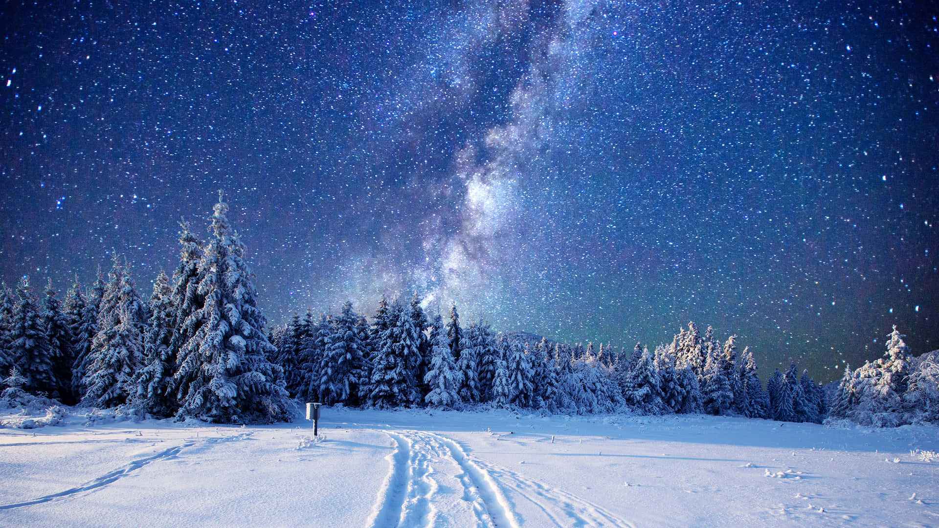 Beautiful Winter 桌布