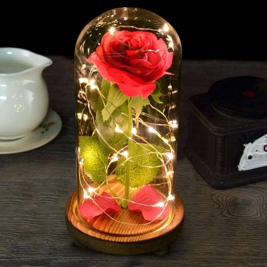 Beauty And The Beast Rose 桌布