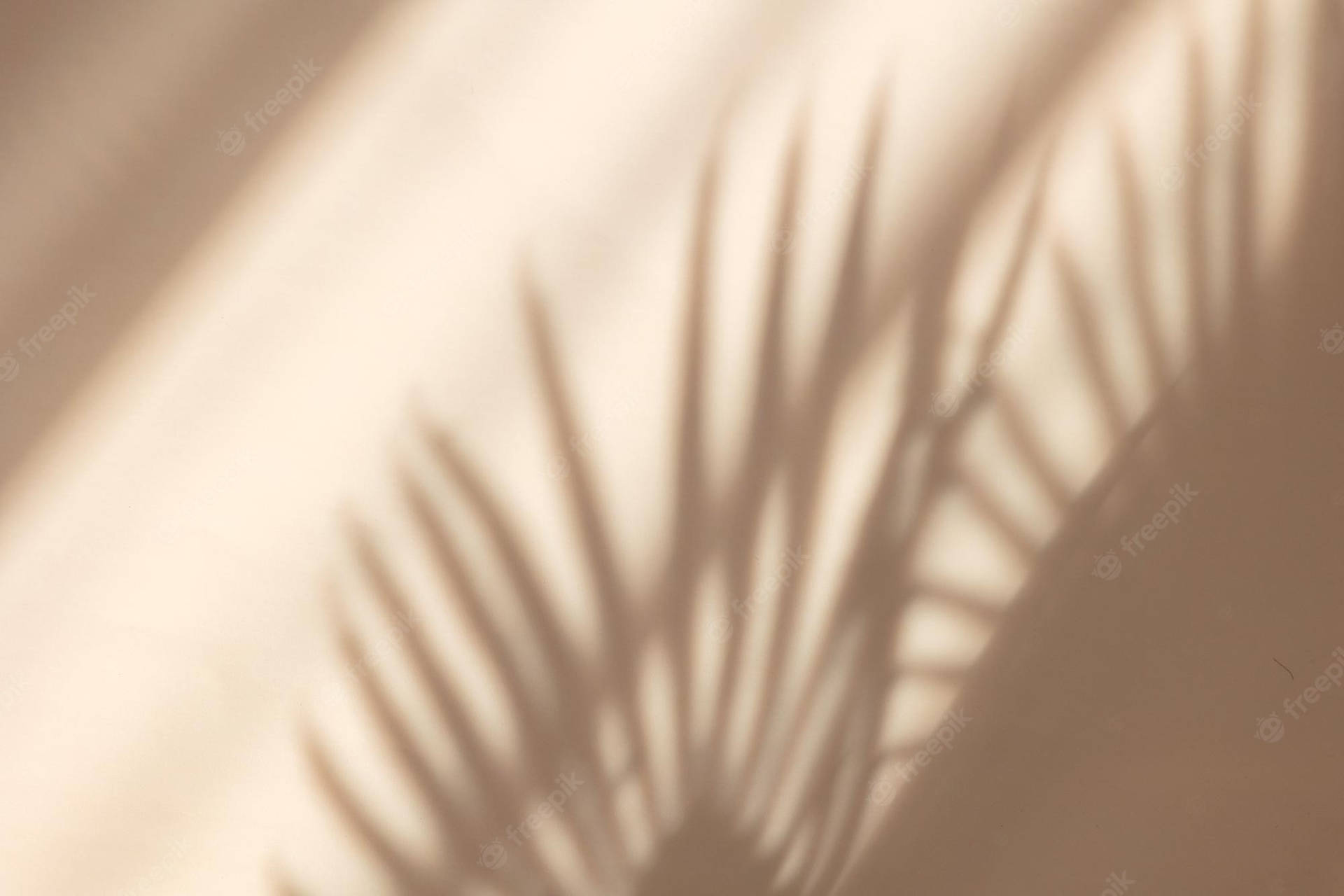 Beige Pastel 桌布