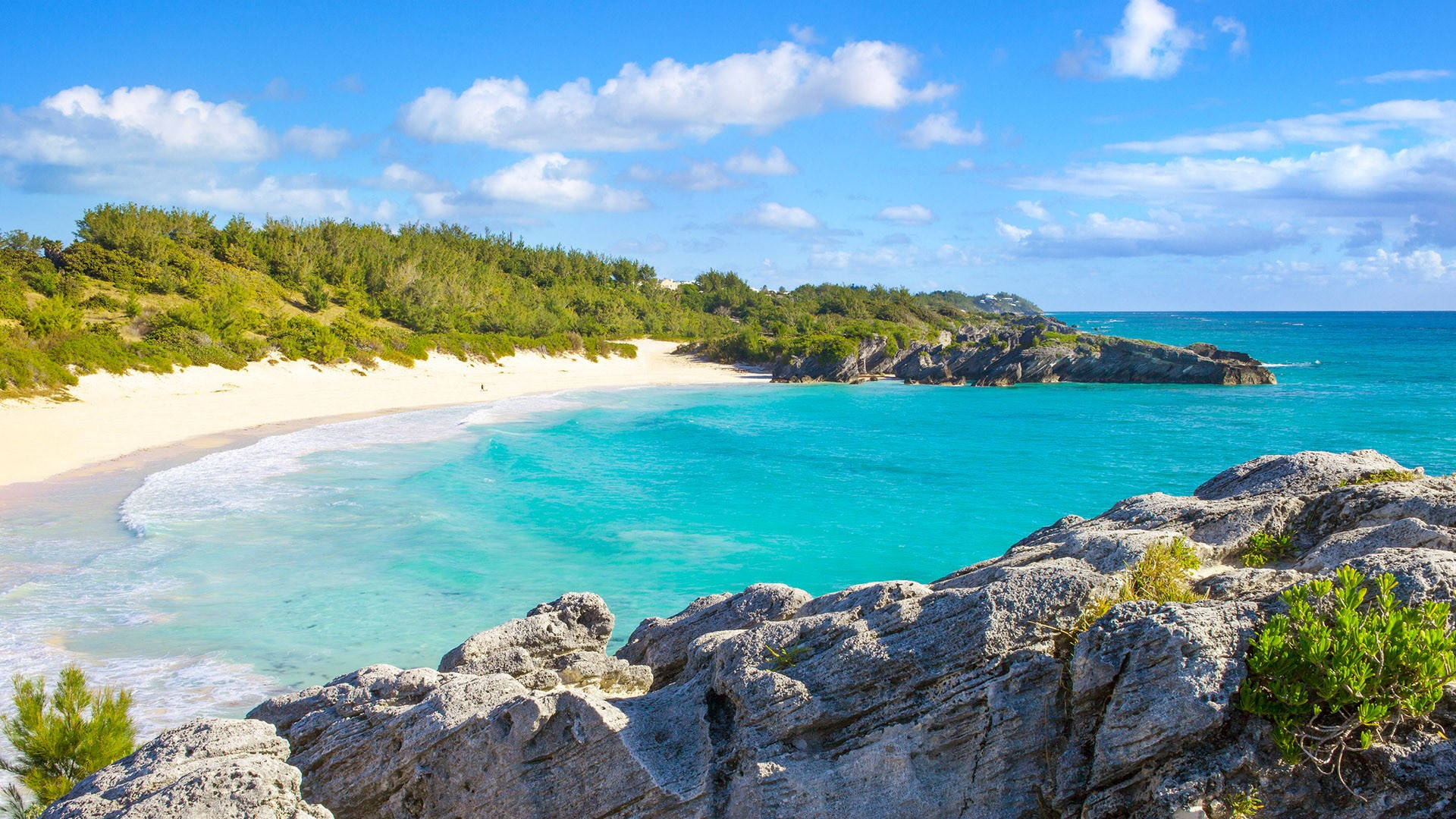 Bermuda 桌布