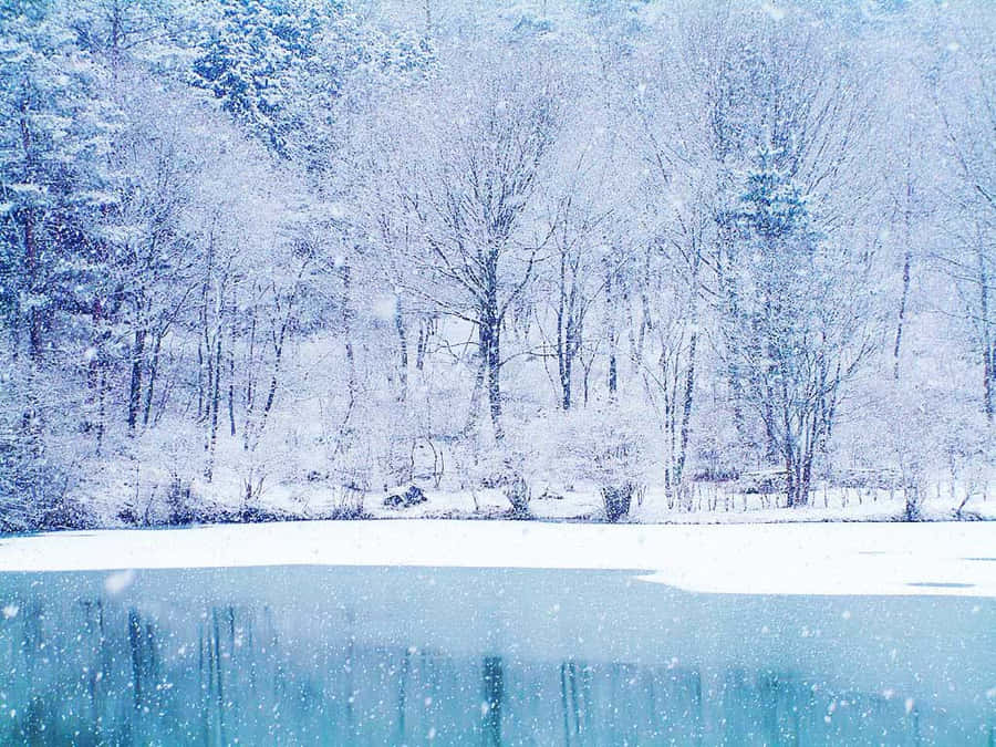 Best Winter 桌布