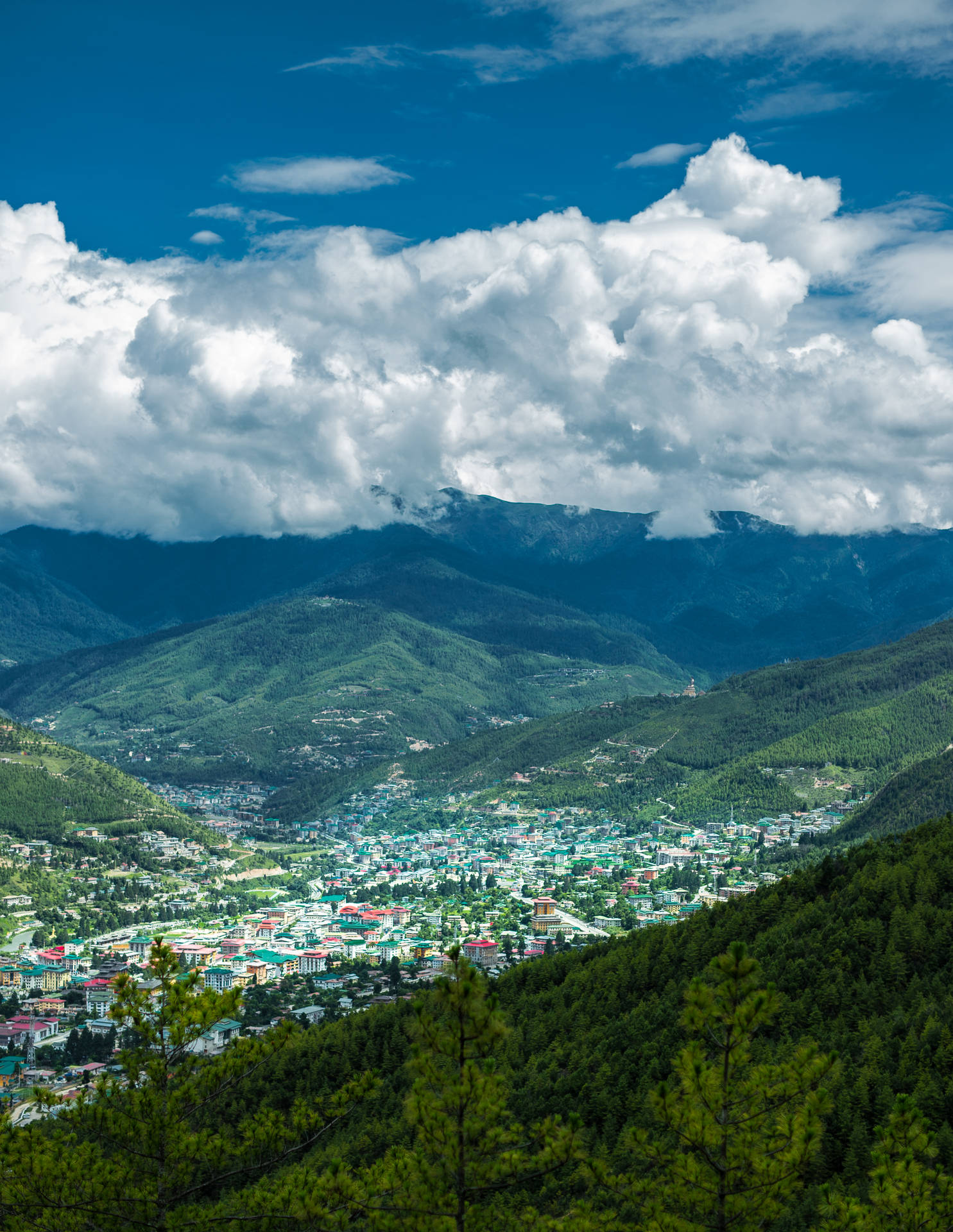 Bhutan 桌布