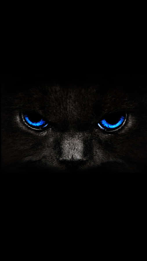 Black And Blue iPhone 桌布