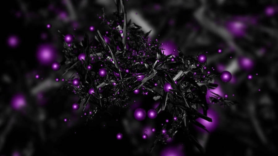 Black And Purple 桌布