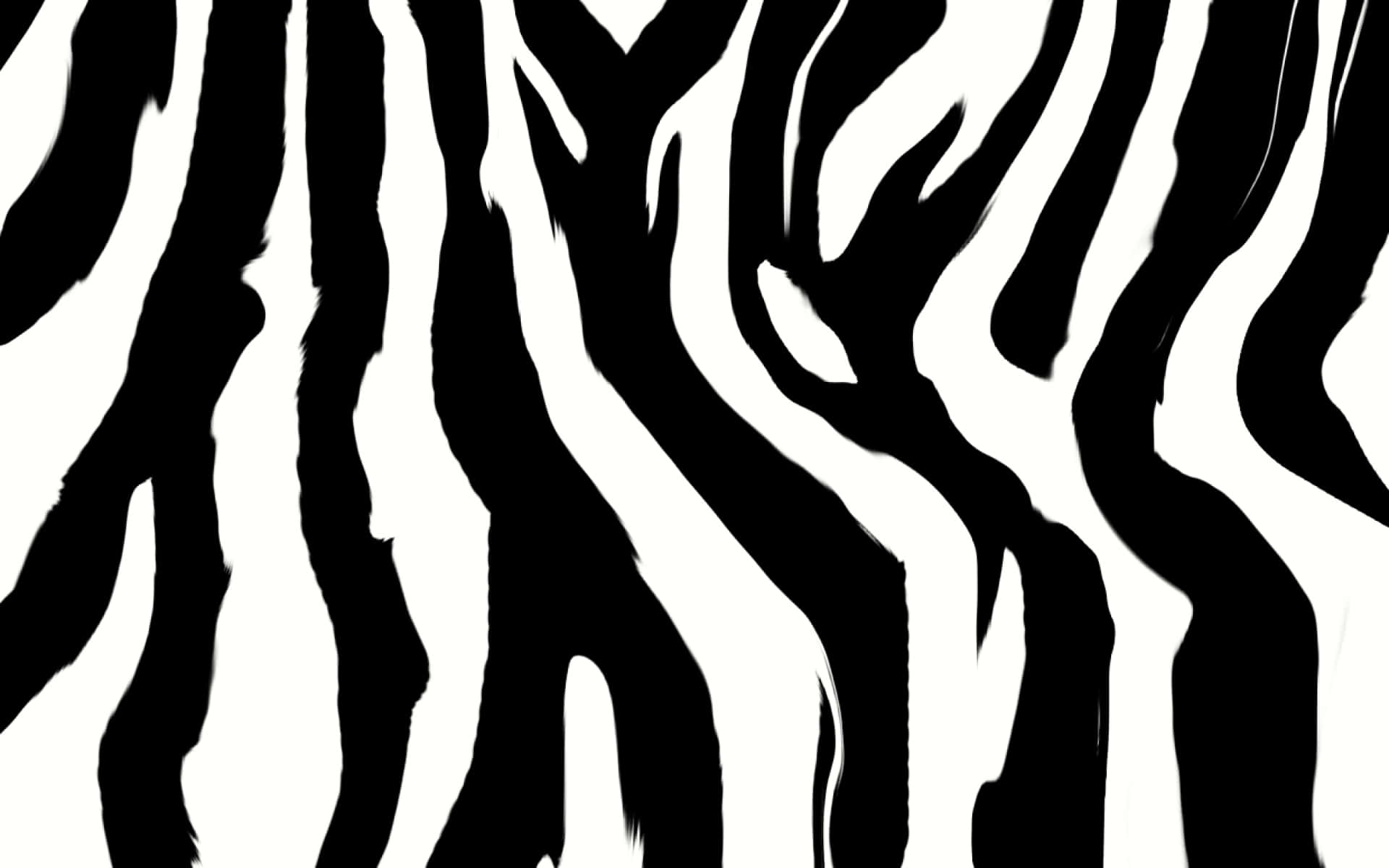 Black And White Animal Print 桌布