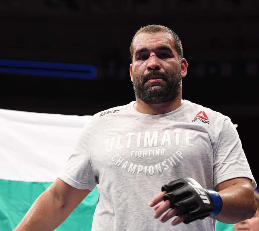 Blagoy Ivanov 桌布