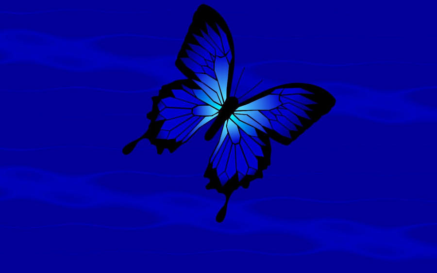 Blue Butterfly Aesthetic 桌布