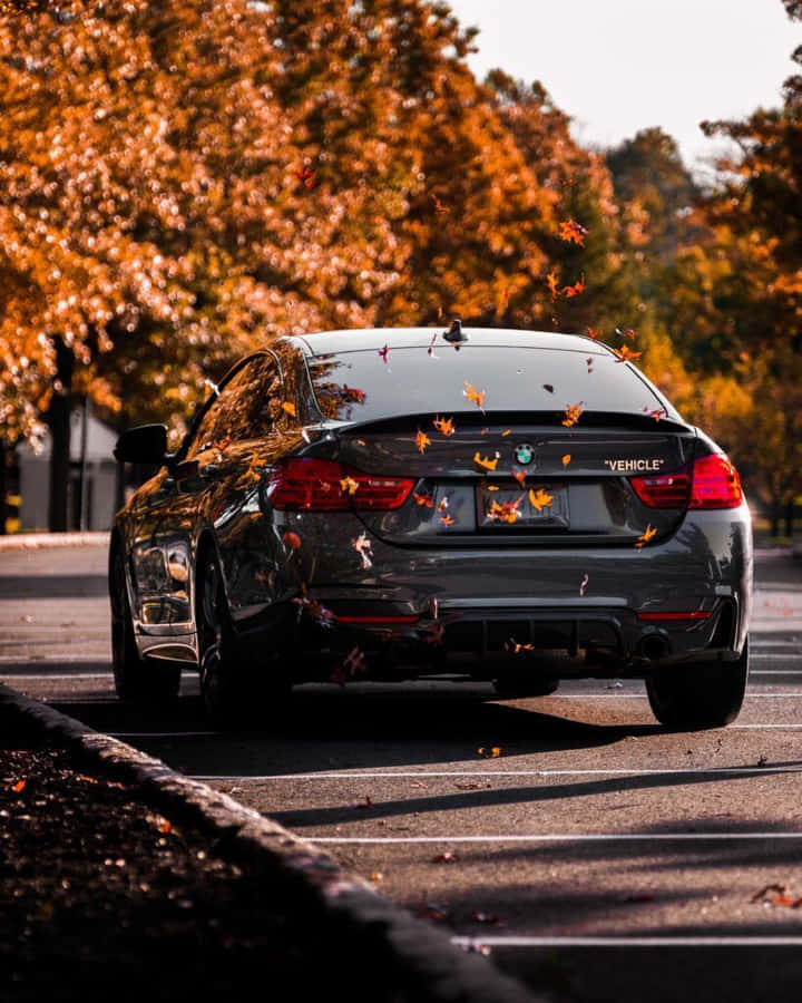 Bmw M iPhone 桌布