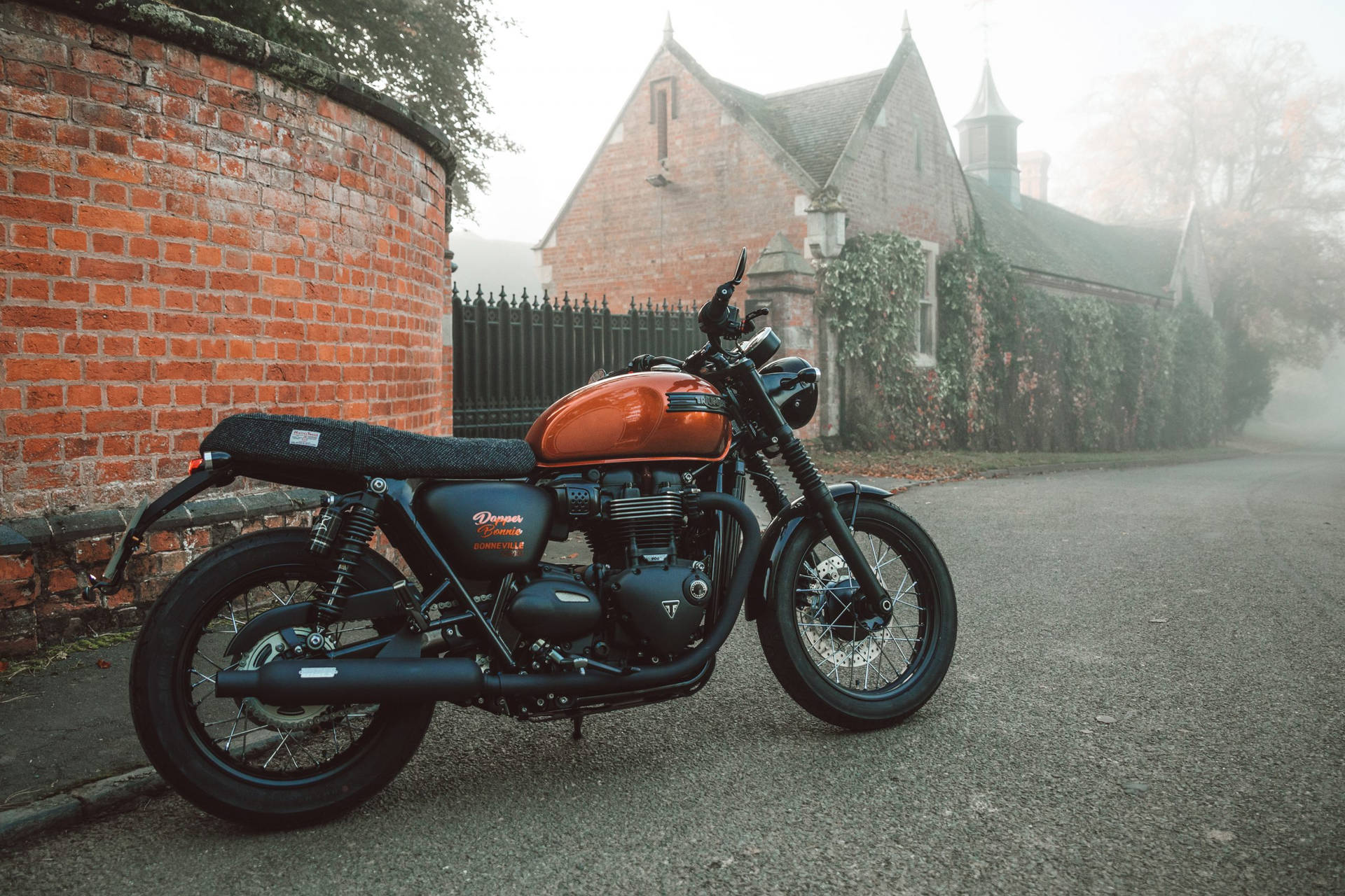 Bonneville 桌布