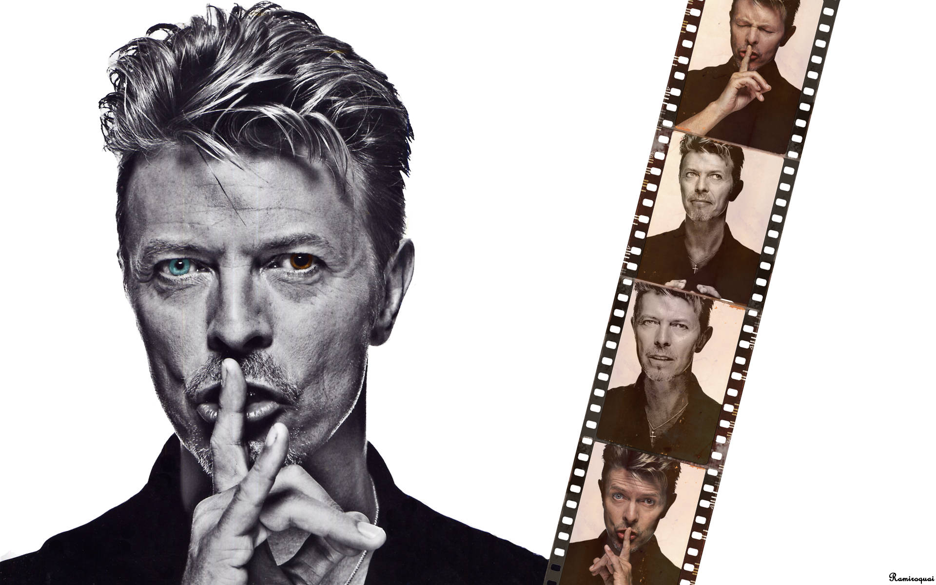 Bowie 桌布