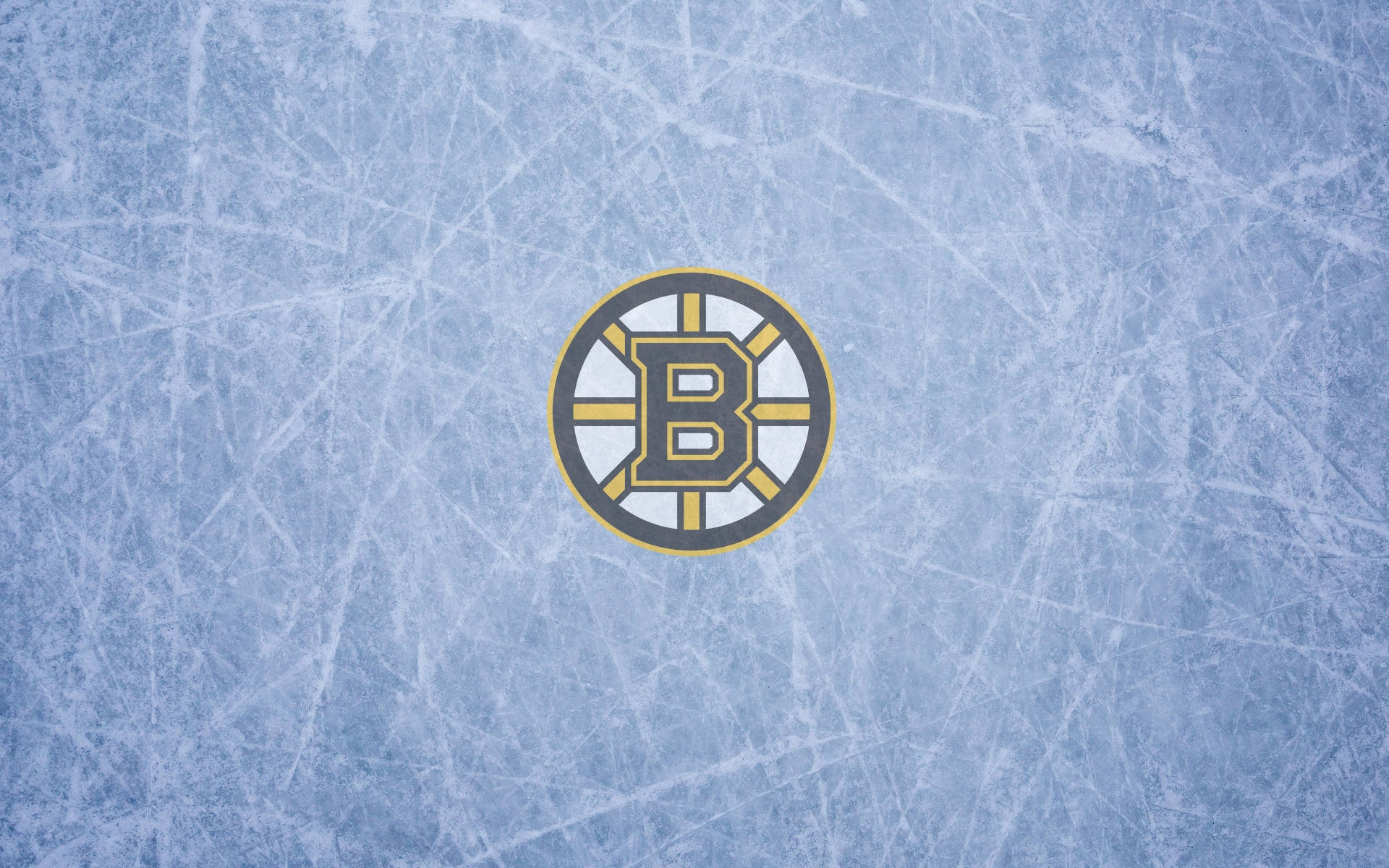 Bruins 桌布