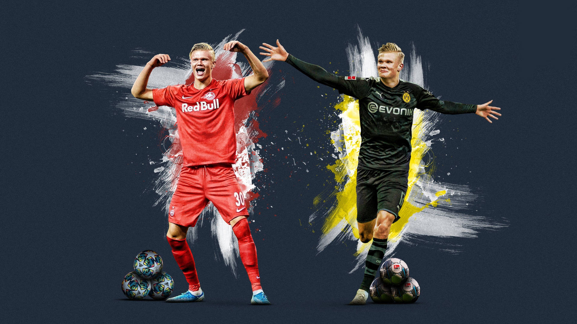Bruyne 桌布