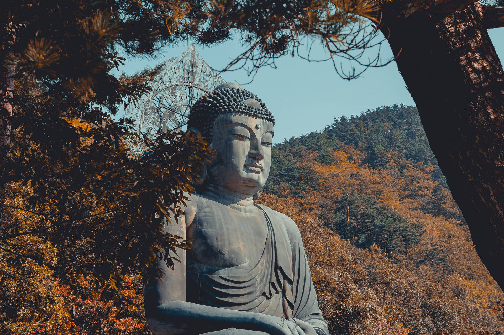 Preview wallpaper buddha, buddhism, sculpture, bronze, seoraksan, south korea