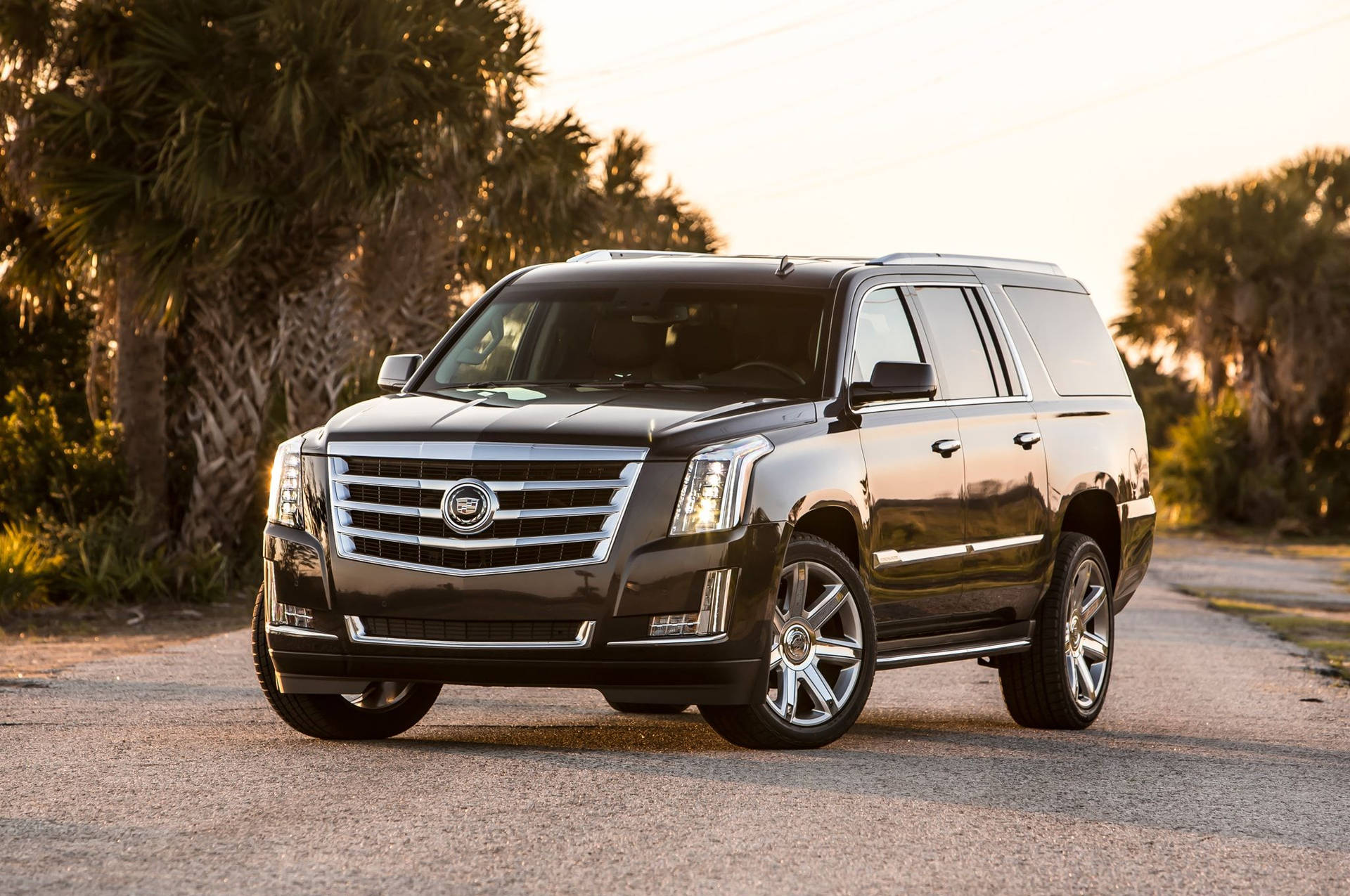 2048x1360 Cadillac Escalade 4 HD Wallpaper