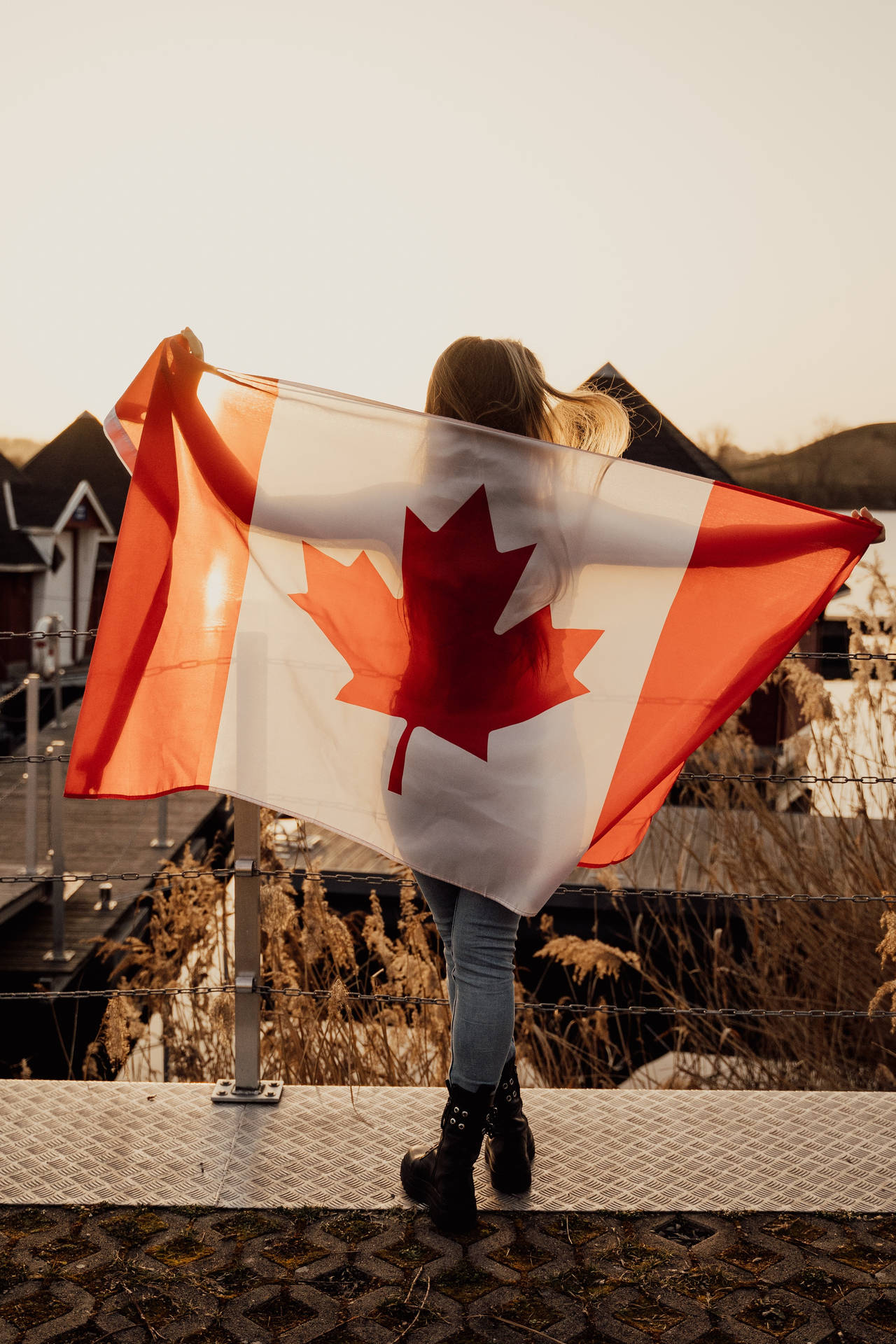 Canadian 桌布